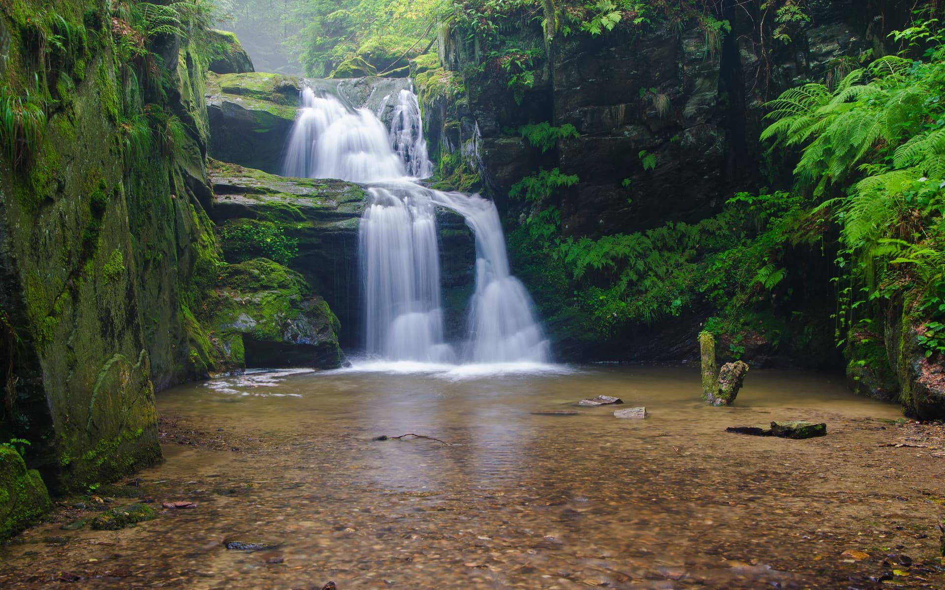 Sudety Grand Trail - widok górski 1